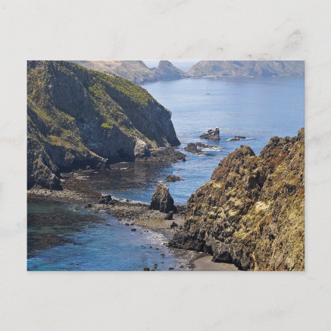 Carte Postale L'île d'Anacapa (Devant)