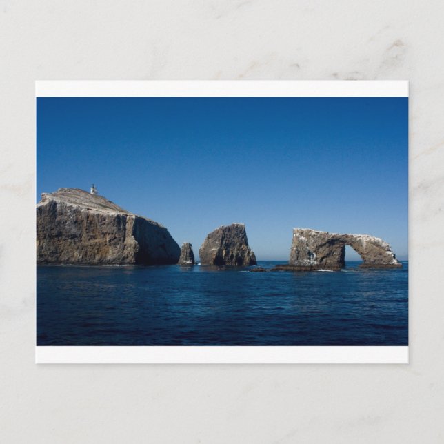 Carte Postale L'île d'Anacapa (Devant)