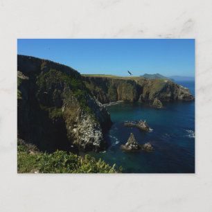 Carte Postale L'île d'Anacapa dans le Parc national des îles Cha