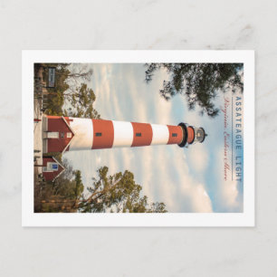 Carte Postale L'île d'Assateague.