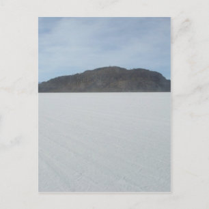 Carte Postale L'île de Cactus