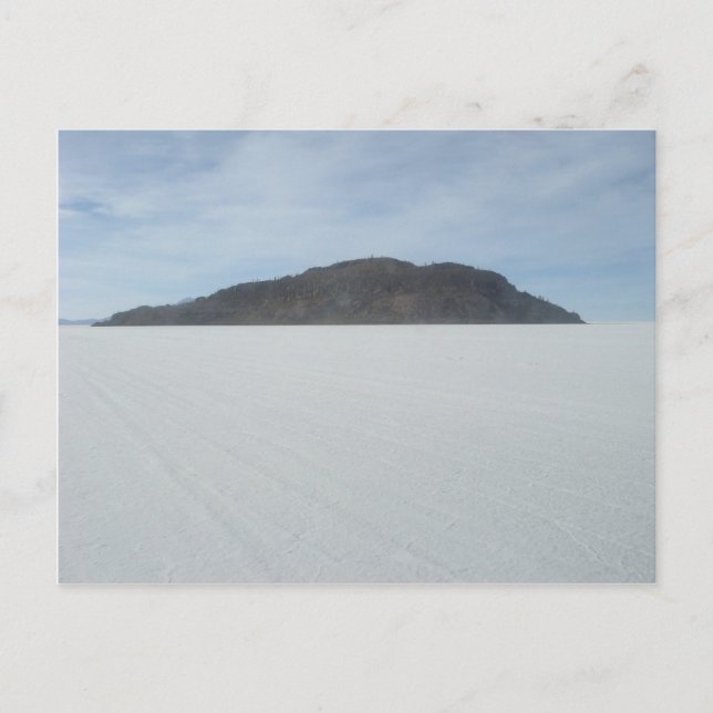 Carte Postale L'île de Cactus (Devant)