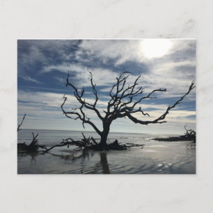 Carte Postale L'île de Jekyll Géorgie