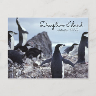 Carte Postale L'île de la tromperie de l'Antarctique