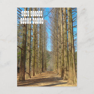 Carte Postale L'île de Nami