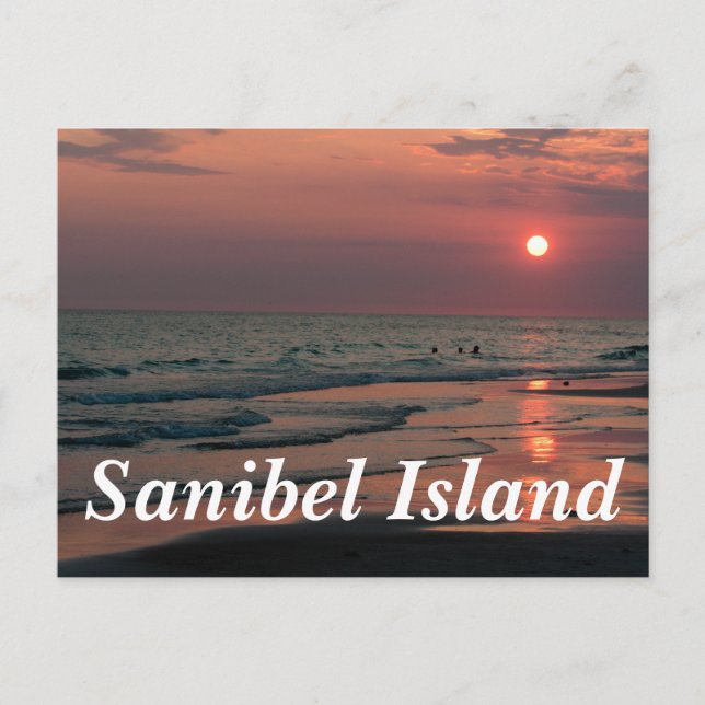 Carte Postale L'île de Sanibel (Devant)