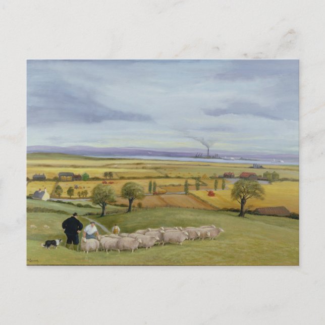 Carte Postale L'île des éleveurs de moutons de Sheppey (Devant)