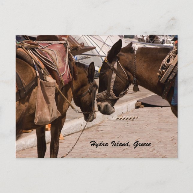 Carte Postale L'île d'Hydra, Grèce (Devant)