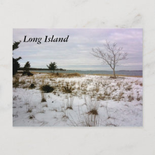 Carte Postale L'île Long Island-Shelter