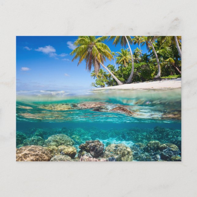 Carte Postale L'île tropicale sous et au-dessus de l'eau (Devant)