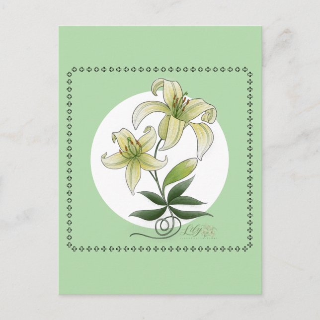 Carte Postale Lilies (Devant)