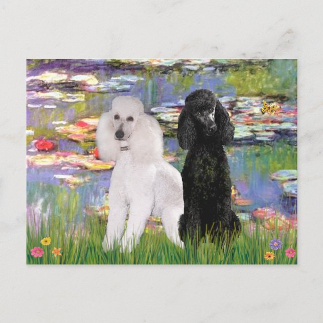 Carte Postale Lilies2 - Poodles standard (noir et blanc) (Devant)