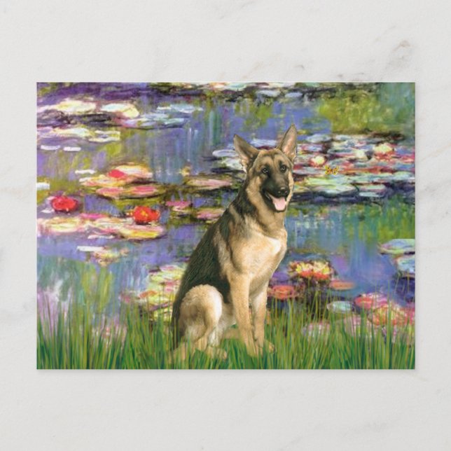 Carte Postale Lilies 2 - Berger allemand 2 (Devant)