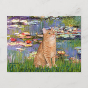 Carte Postale Lilies 2 - Orange Tabby cat 46
