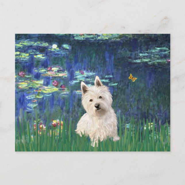 Carte Postale Lilies 5 - Westie 1 (Devant)