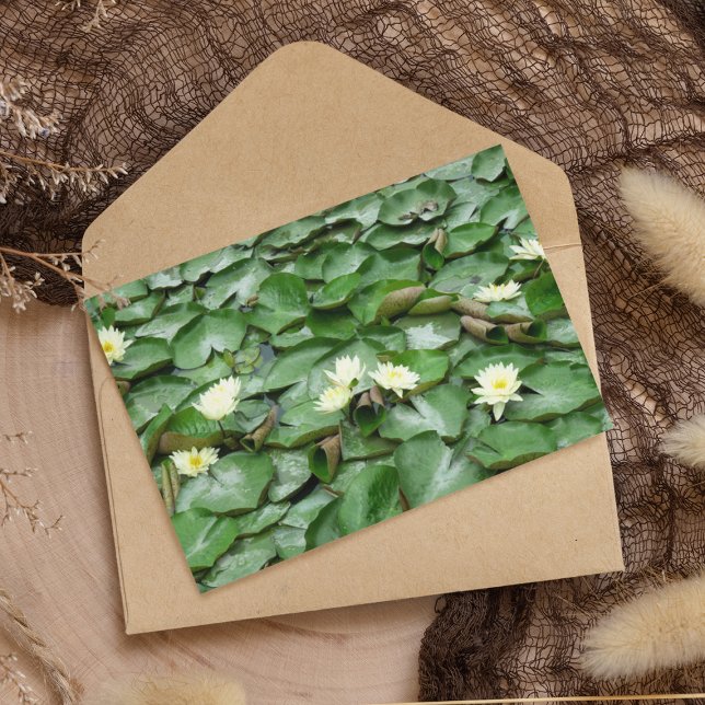 Carte Postale Lillies d'eau (Créateur téléchargé)