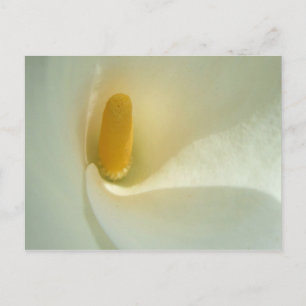 Carte postale Lilly Center