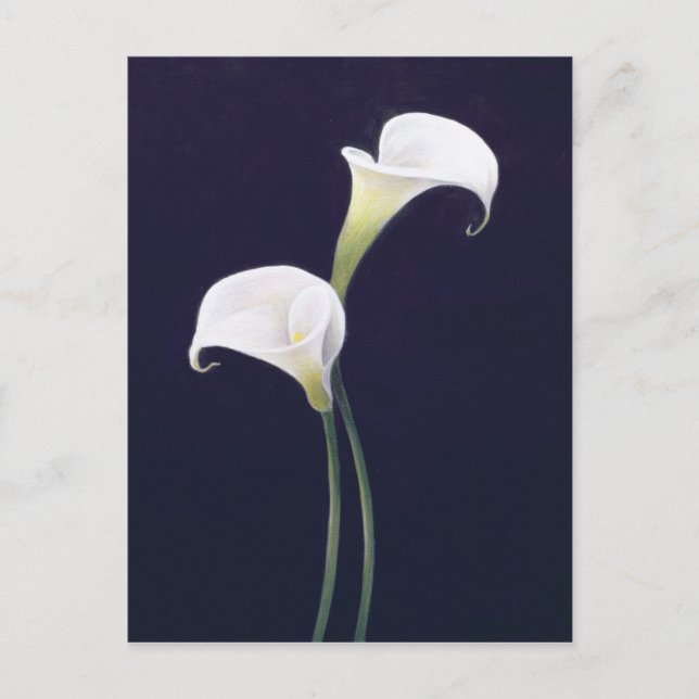 Carte Postale Lily (Devant)