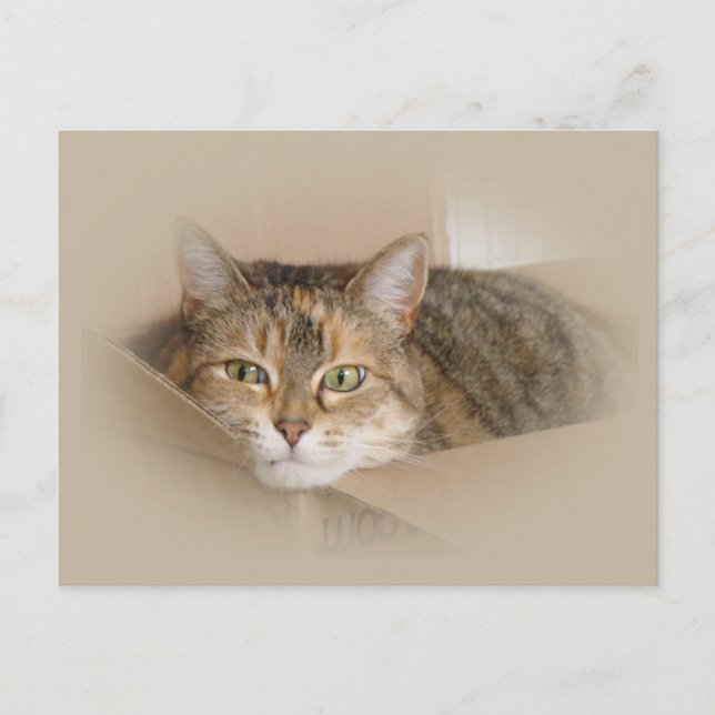 Carte Postale Lily #2 (Devant)