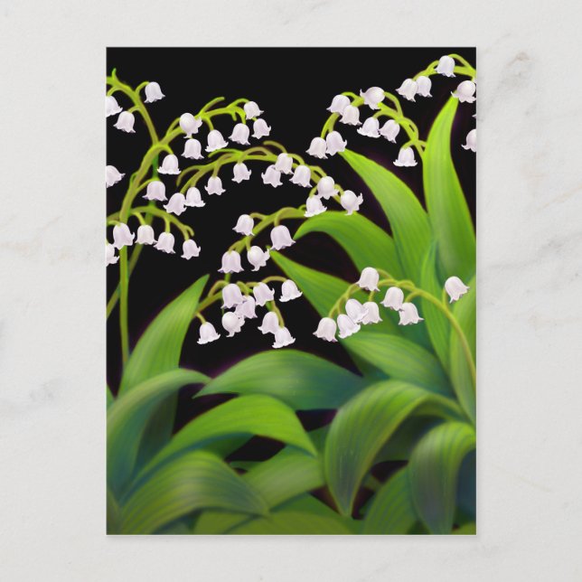 Carte Postale Lily de la Vallée (Devant)