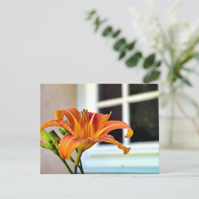 Carte Postale Lily de tigre orange (Debout devant)