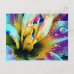 Carte postale Lily intégrée