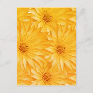 Carte Postale Lily jaune classe
