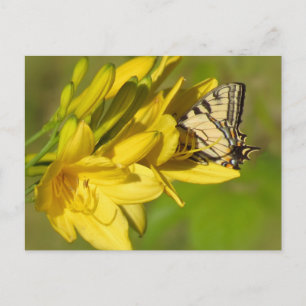 Carte Postale Lily Lover - Papillon