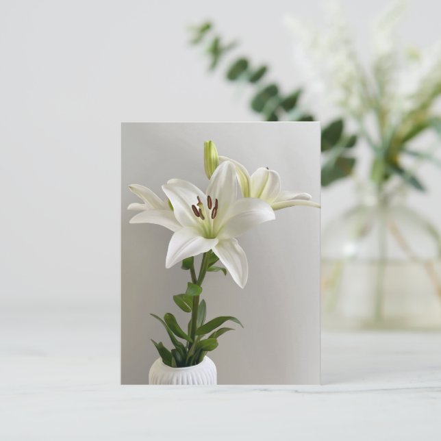 Carte Postale Lily Lullaby | Peinture florale simple blanche (Debout devant)