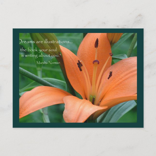 Carte Postale Lily orange (Devant)