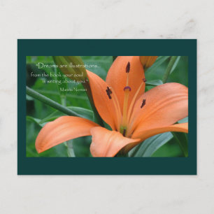 Carte Postale Lily orange