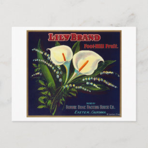 Carte Postale Lily Orange LabelExeter, CA