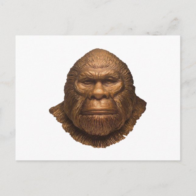 CARTE POSTALE L'IMAGE DE (Devant)