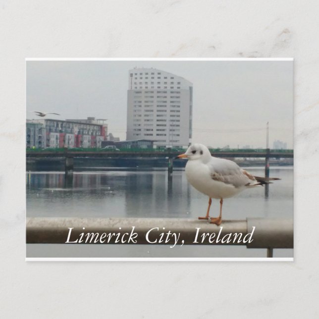 Carte Postale Limerick City, Irlande (Devant)