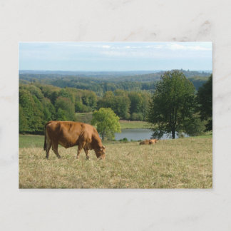 Carte Postale limousine