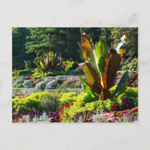 Carte Postale Lincoln, Nebraska Sunken Gardens #224