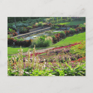 Carte Postale Lincoln, Nebraska Sunken Gardens #224n 0224