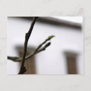 Carte Postale L'initiale