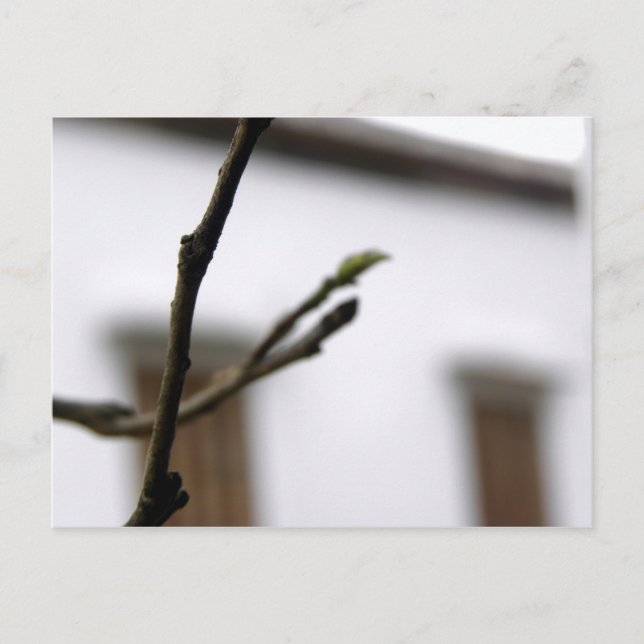 Carte Postale L'initiale (Devant)