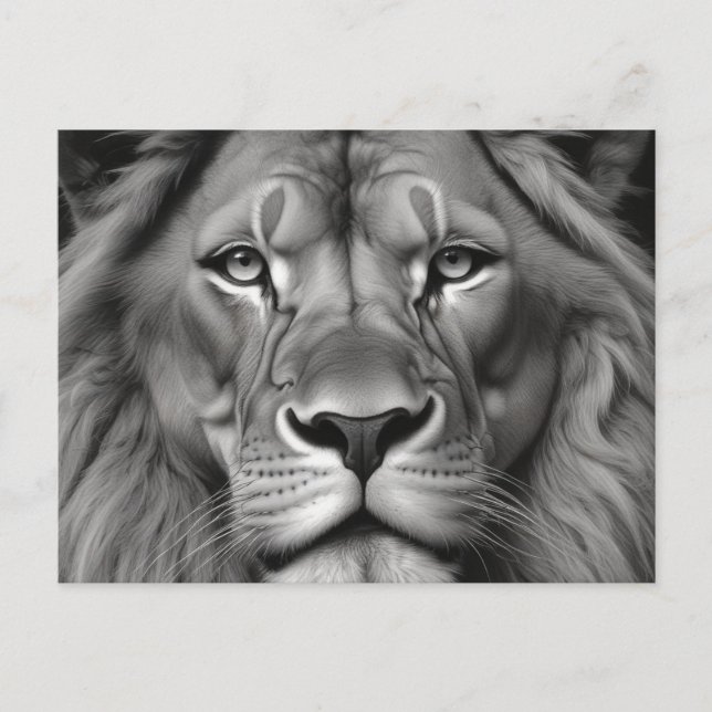 Carte Postale Lion (Devant)