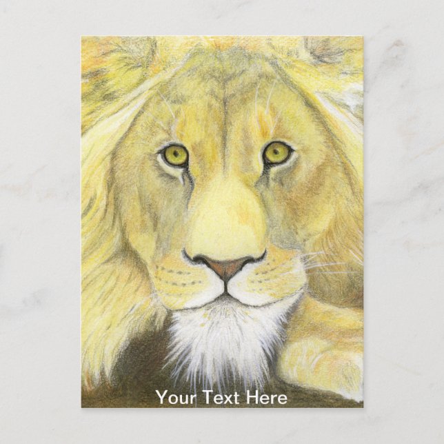 Carte Postale Lion (Devant)