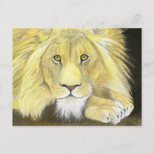 Carte Postale Lion africain