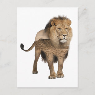 Carte postale Lion Africain Double Exposition
