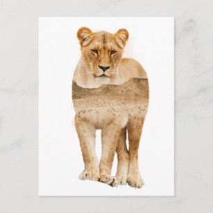 Carte postale Lion Africain Double Exposition