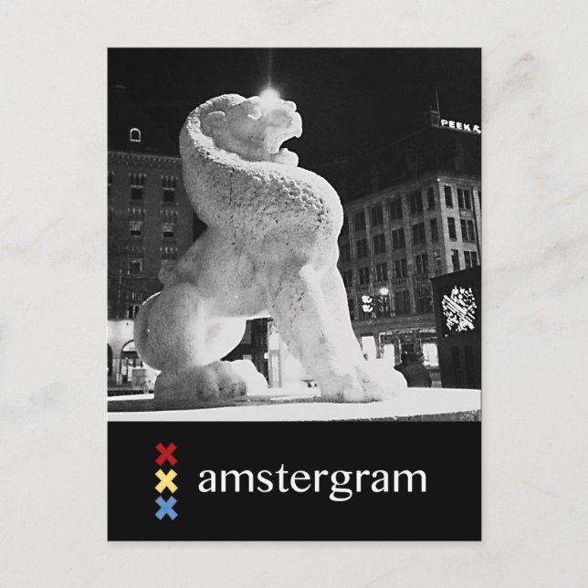 Carte Postale Lion Amstergram (Devant)