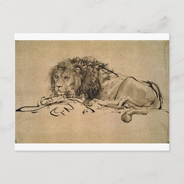 Carte Postale Lion au repos par Rembrandt (Devant)