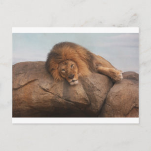Carte Postale Lion Awsome