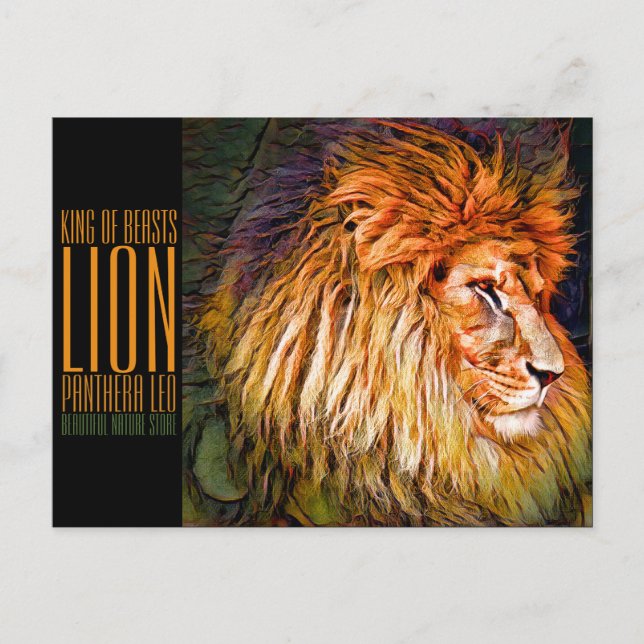 Carte Postale Lion [Carte postale] (Devant)