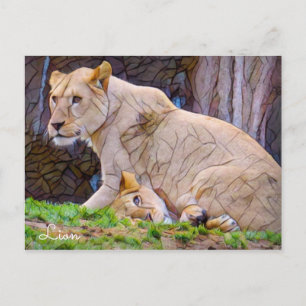Carte Postale Lion [Carte postale]