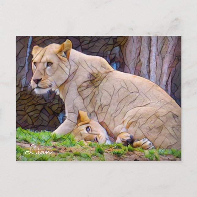 Carte Postale Lion [Carte postale] (Devant)